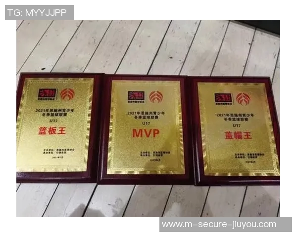 涪陵篮球之星崛起的传奇旅程与荣耀背后的故事